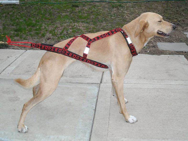 Howling Dog Alaska Hound Harness (S, svart/röd)